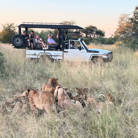 620 pixels placeholder image